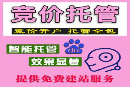 百度广告费用案例，揭秘成功广告秘诀
